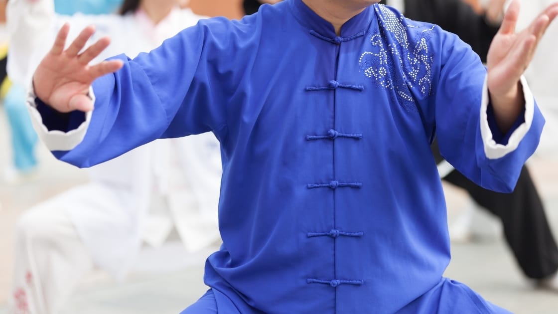 gaya tai chi